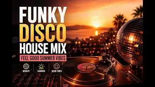 Groove Deluxe: A Funky Disco House Journey | Funky Disco House