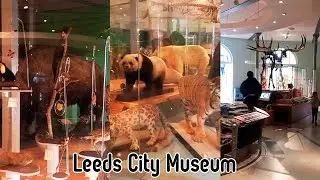 Inside Leeds City Museum 🇬🇧