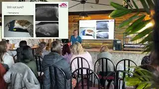 Gastrointestinal Stasis in Rabbits with Dr Kevin Eatwell | Lecture Recording from CPD Day