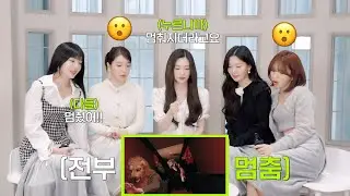 Red Velvet 레드벨벳 'Birthday' MV Reaction l RV Collection