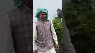 hamari lauki ki BEL greenery fresh vegetable#muzaffarnagar #homereality 🥦🥬🥒