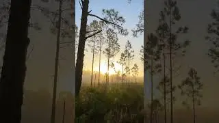 O&ugrave; dormir gratuitement en Floride 😲☀️👍