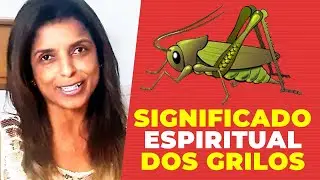 Significado espiritual dos Grilos com a Vidente Vandinha Lopes