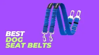 Best Dog Seat Belts - 