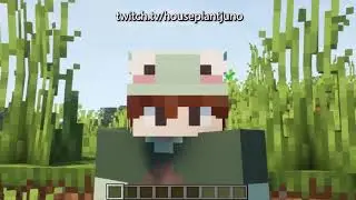 Why I should be your New Comfort Streamer