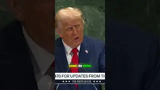 Trump  Immigrazione ed energia verde stanno distruggendo il mondo