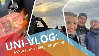 Abenteuer im Wattenmeer 🏝️🐚| Uni Vlog: Exkursion Lehramt Bio