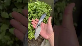 CKF Evo 3.0