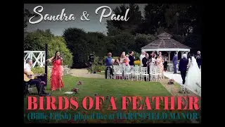 Birds of a feather (Billie Eilish) - Sandra & Paul