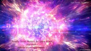 Really Slow Motion & Giant Apes - Harvest | Intense Emotional Extension