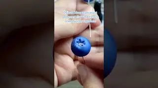 Polymer Clay Blueberries! #polymerclay #blueberry #foodart #craft #crafts #fruit #polymerclayart