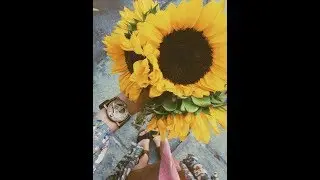 Cancer~ April/May 2018