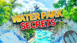 The ULTIMATE Guide to Disney World's Water Parks 2026