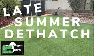 Late Summer Dethatch