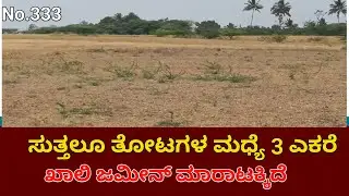 Challakere Near Agriculture Land for Sale | Chitradurga District | Best Investment Property