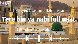 Tere bin ya nabi full naat SLOWED REVERB, Syed Hassan ullah hussaini 