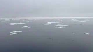 m/v Hondius - Spitsbergen - Location: Arctic Ocean, Pack Ice  GPS position: 81&deg;40.0&rsquo;N, 022&deg;35.0&lsquo;E