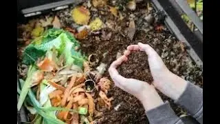 Adding Black Soldier Flies To Your Compost System | Urban Farm Hour | clip 8/11