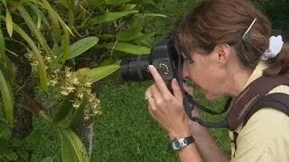 Совет по фотосъемке в путешествии по Небраске: макросъемка