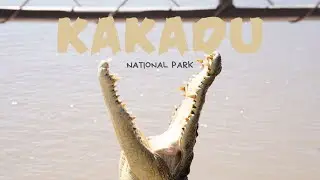 KAKADU NATIONAL PARK - JUMPING CROCODILE, UBIRR, JIM JIM FALLS | TRAVEL GUIDE