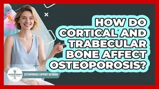 How Do Cortical And Trabecular Bone Affect Osteoporosis? - Osteoporosis Support Network