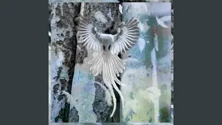 Melodize (feat. chexuir)