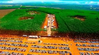 Expoforest 2018 - Brazilian Forestry Fair