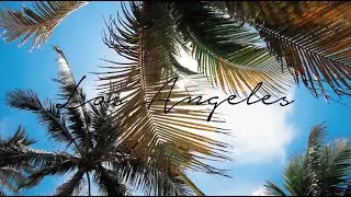 Spotlight on Success | Real Estate Agent Profile Video