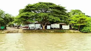 4K Cinematic Short Film | Cinematic Background Music NO COPYRIGHT !!! Nature Cinematic Video |