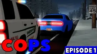 COPS I SARASOTA, FL I MAPLE COUNTY I EPS. 1