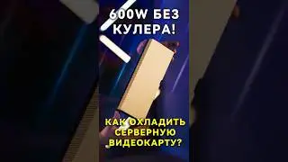 Как охлаждаются видеокарты в серверах? #ai #nvidia #amd #pc #serverflow #server #chatgpt #openai