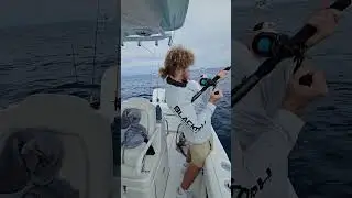  Fight with an amberjack, fifty miles offshore in the Gulf of America.