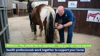 Webinar: whole horse approach, how equine health professionals work together to support your horse