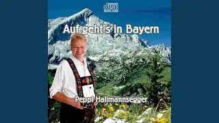 Sonnenspitzlandler