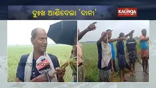 Cyclone Dana Impact: Farmers stare at ruin as Cyclone destroys crops in Rajkanika || Kalinga TV