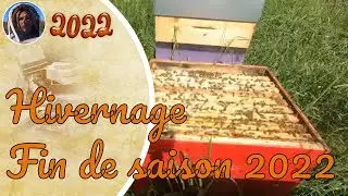 hivernage des colonies d'abeilles, fin de saison d'apiculture 2022 !