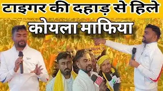 टाइगर की दहाड़ से हिले कोयला माफिया !!@MaaAmbeNews 