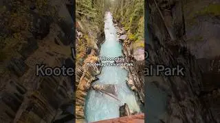 Here is a glimpse of Kootenay National Parks amazing blue waters 💦 #bc #kootenays #travel #nature