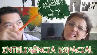 Intelig&ecirc;ncia Espacial Demolidor Howard Gardner orienta&ccedil;&atilde;o espa&ccedil;o #polivalencia6