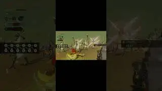 struggle in sands