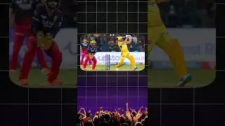 5 Most profitable stocks for IPL | IPL shares to buy now | Invest tech