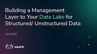 Building a management layer to your data lake for structured/unstructured data