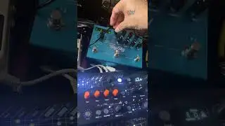 Playing with some #dubtechno chords on Microfreak #circuittracks with my new #strymonbigsky