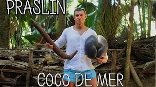Сейшелы. Национальный парк Vallee de Mai на острове Праслин. COCO DE MER. Лучший пляж-Anse Georgette