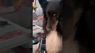 My boozy boy - I promise the bottle is empty