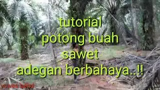 Potong buah sawet bar bar dengan cepat