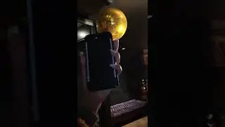 LuMee Duo Vibes Case