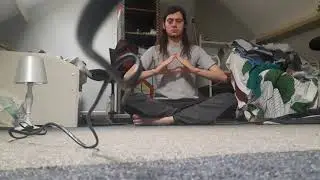 Life force, kidneys and adjusting your direction towards a golden future