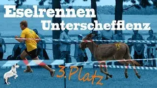 [Sturer Esel] Eselrennen Unterschefflenz