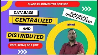 Centralized vs Distributed Database System | Class 12 Computer Notes in Nepali | DBMS Lecture